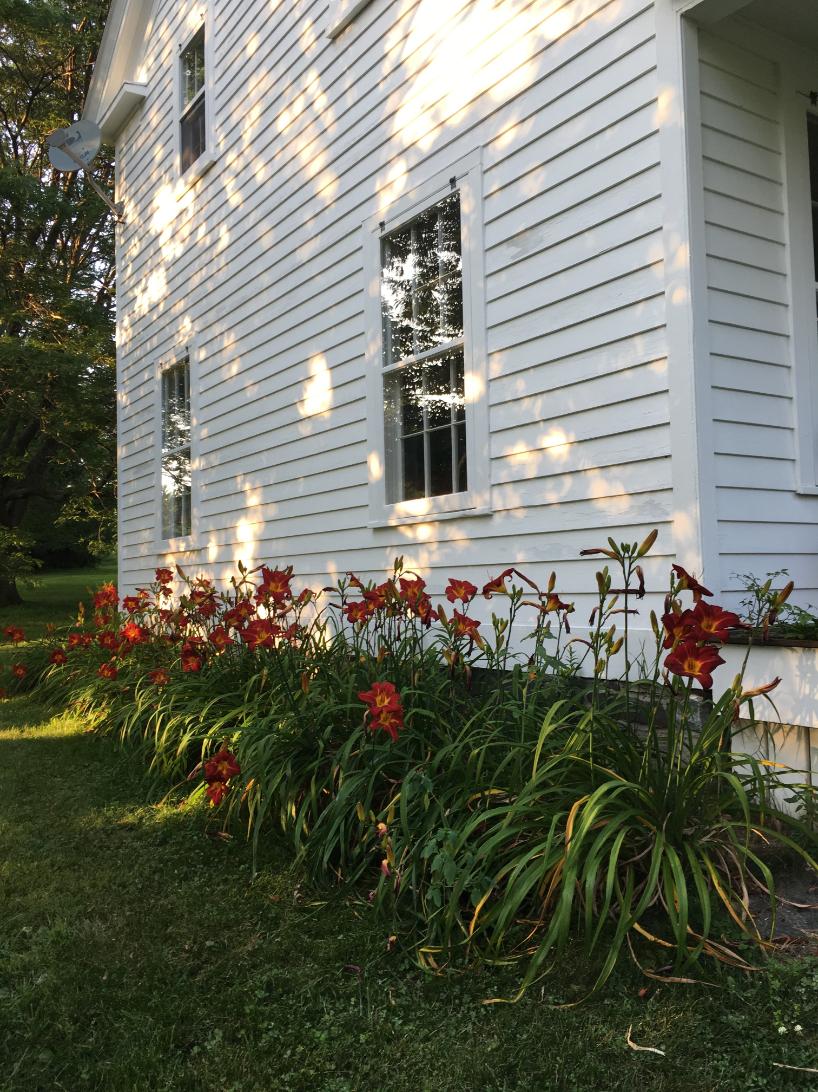 Homeowners and businesses choosing professional painting services